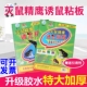 春禾粘鼠板特大加厚粘鼠贴诱鼠精鹰物理灭鼠神器家用加大号粘大鼠