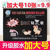 春禾粘鼠贴粘鼠板灭鼠神器兰白鼠黑敢大狼途粘鼠粘板物理灭鼠胶板