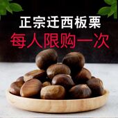 2025年河北特产迁西板栗生鲜栗子甘栗油栗野生毛栗子百年老树栗子