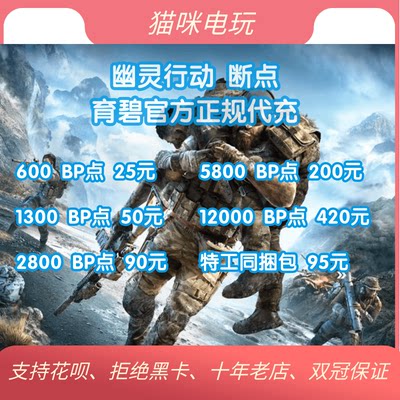 pc游戏steam幽灵行动充值断点