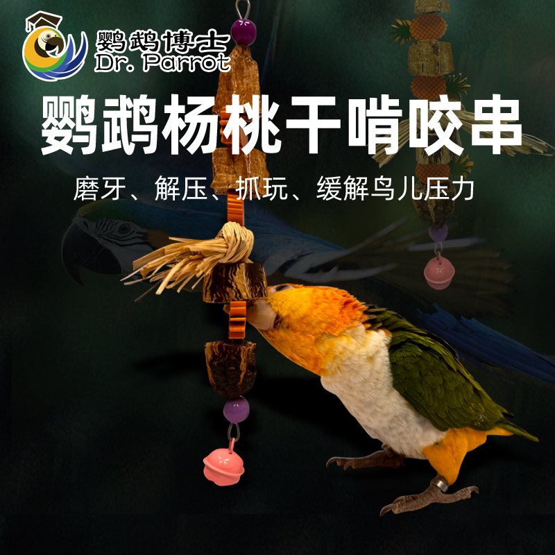 鹦鹉啃咬玩具杨桃干解压解闷磨牙