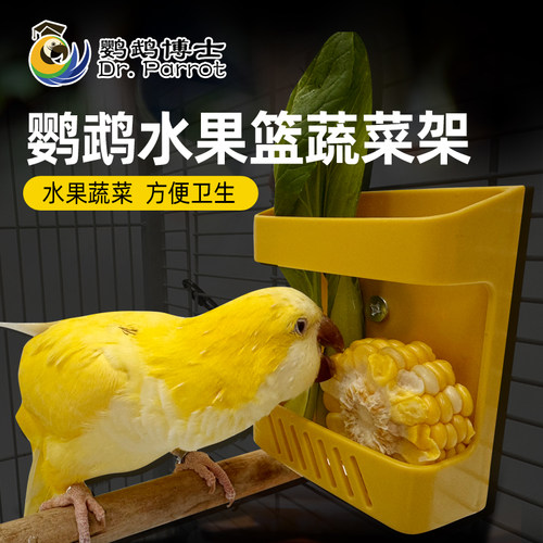 鹦鹉水果篮蔬菜架夹虎皮墨鱼骨框