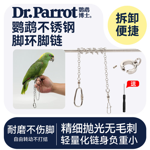 鹦鹉脚环脚链不锈钢和尚玄凤鸟链
