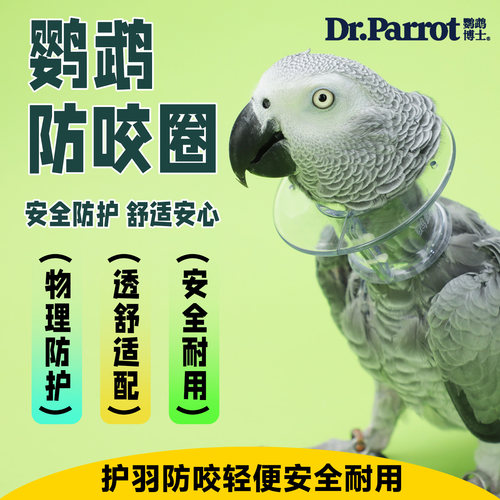灰鹦鹉金刚鹦鹉防咬毛项圈脖套