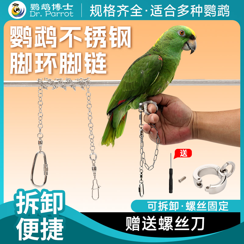 鹦鹉脚环脚链不锈钢和尚玄凤鸟链