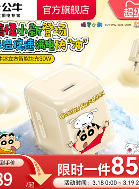 【苹果17首选】公牛蜡笔小新IP联名冰立方充电头适用苹果充电器线iPhone17P快充头16手机typec数据线正品30W