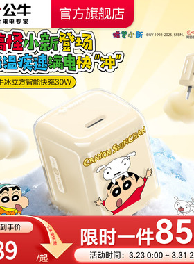 【苹果17首选】公牛蜡笔小新IP联名冰立方充电头适用苹果充电器线iPhone17P快充头16手机typec数据线正品30W