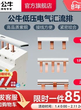 公牛空气开关断路器1P1P+N2P空开接线排接线端子汇流排