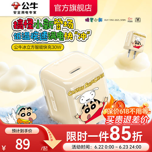 【苹果17首选】公牛蜡笔小新IP联名冰立方充电头适用苹果充电器线iPhone17P快充头16手机typec数据线正品30W