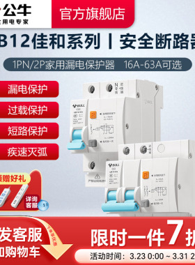 公牛旗舰漏电保护器2P小型断路器家用空开电闸开关25A升级款LB12