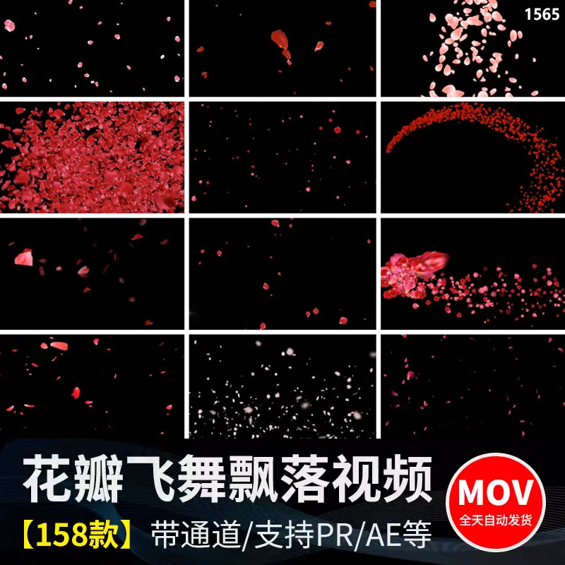 唯美桃花玫瑰花瓣花朵飞舞飘落下动态特效透明通道mov视频led素材