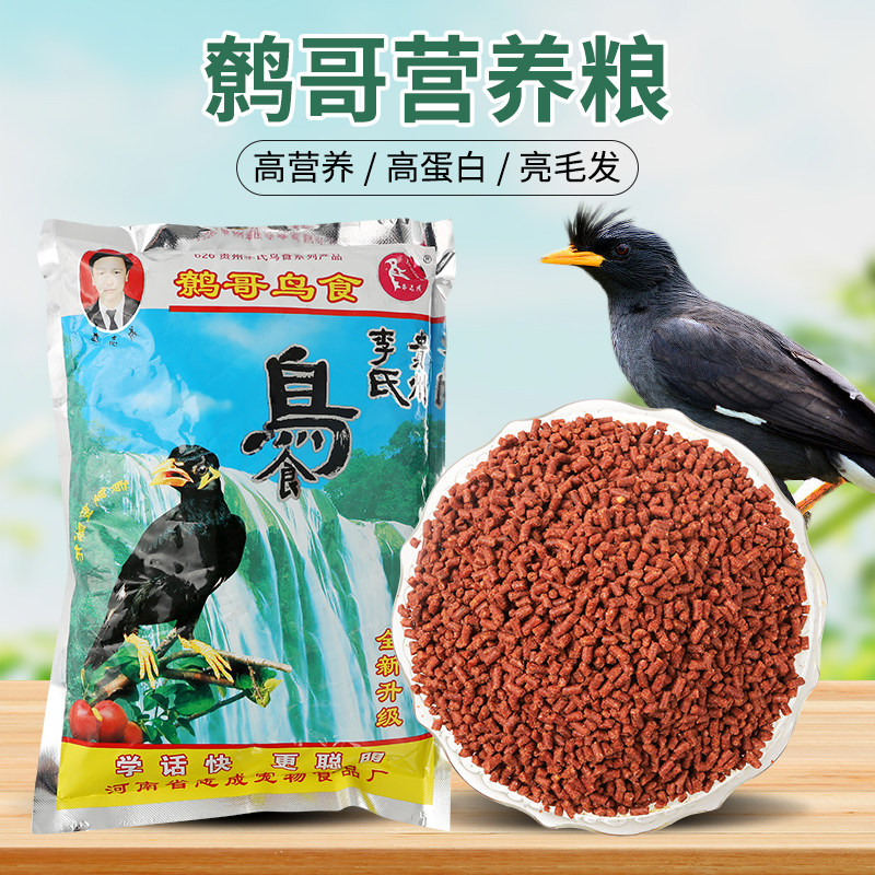 李氏八哥鸟食饲料鹩哥鸟粮黑八专用饲料幼鸟粮食八哥鸟饲料食料
