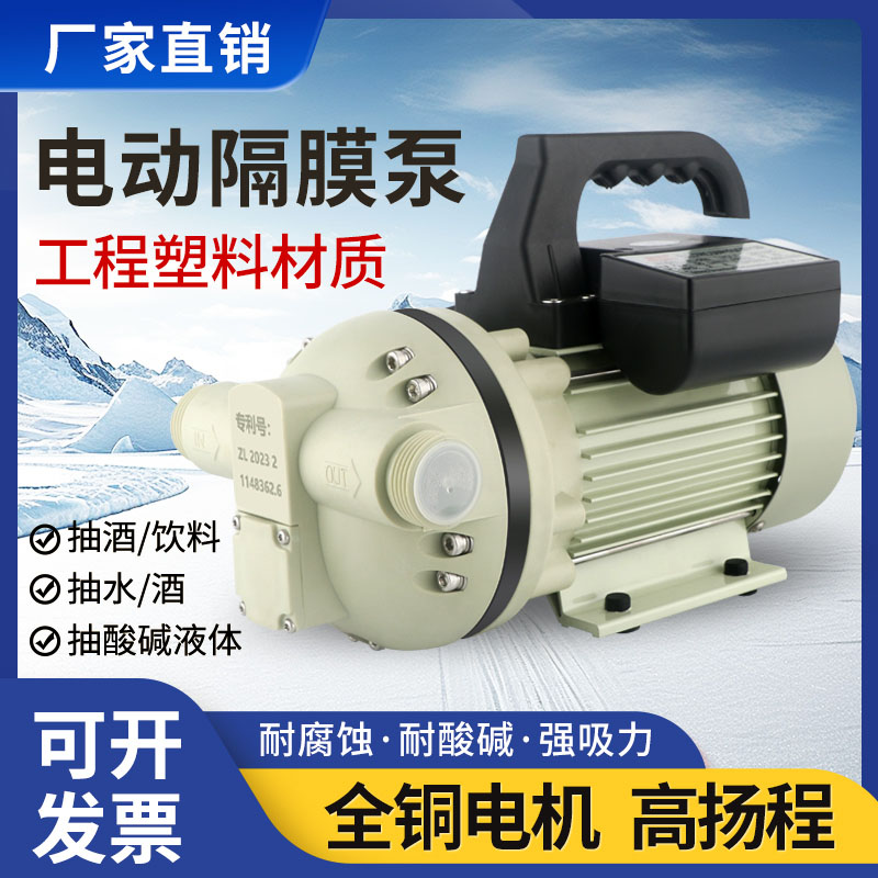 鼎志浙江塑料电动隔膜泵耐酸碱