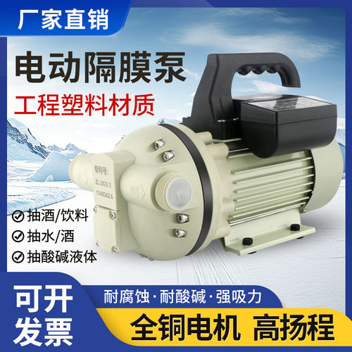 鼎志浙江塑料电动隔膜泵耐酸碱