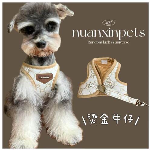 宠物狗狗猫咪胸背透气可调节背心中小型犬泰迪比熊烫金外出牵引绳
