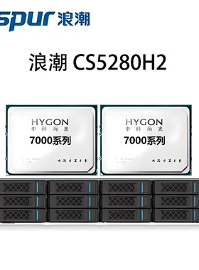 浪潮国产信创服务器 CS5280H2 海光CPU 自主可控 2U 机架式服务器
