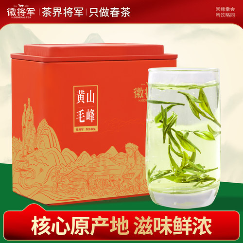 【年轻人爱喝的茶】明前毛峰