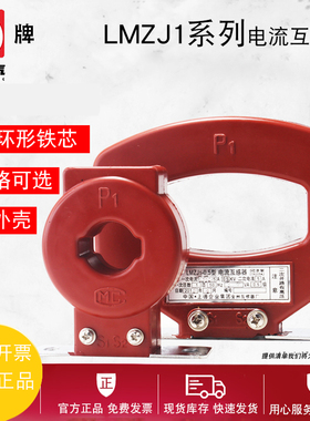 D牌电气电流互感器精度30/100/800/2500/5A 0.5级LMZJ1 一次穿芯
