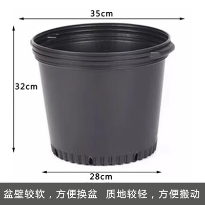 摔不坏抗老化特大水果树花盆