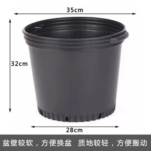 摔不坏抗老化特大水果树花盆