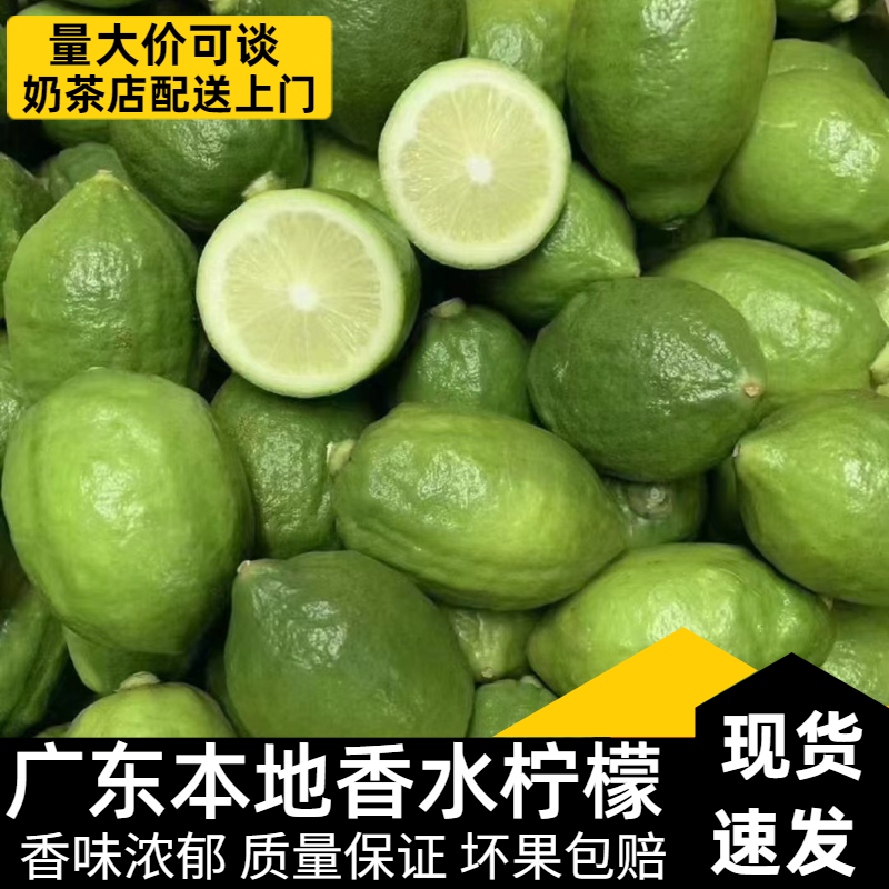 正宗广东本地香水柠檬奶茶店专用新鲜香水柠檬一级果无籽香水柠檬