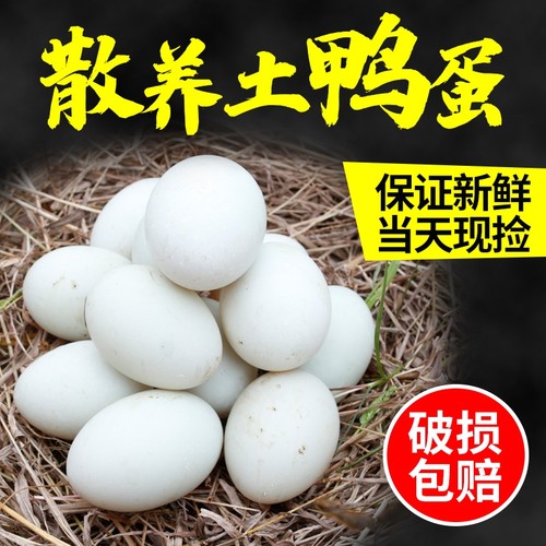 婺源新鲜散养稻田30枚包邮土鸭蛋