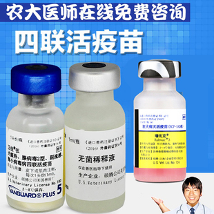 美国辉瑞卫佳5联五联疫苗狗狗育苗硕腾伍联幼犬防疫犬瘟细小 1支