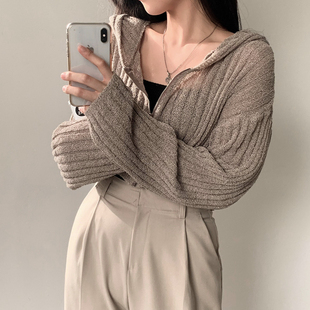 韩国东大门hic百搭连帽短款冰丝防晒薄款长袖薄外套上衣女