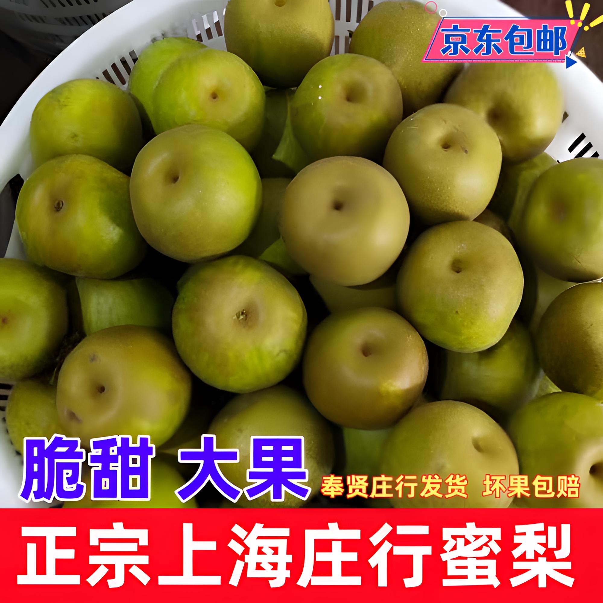 【京东包邮】正宗上海奉贤庄行蜜梨翠冠梨脆甜爆汁大果新现摘现发