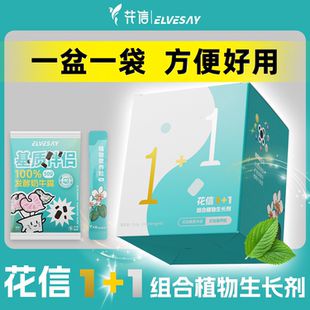 家庭肥料省心套餐花信1+1组合植物生长剂壮苗长根促进吸收增花果