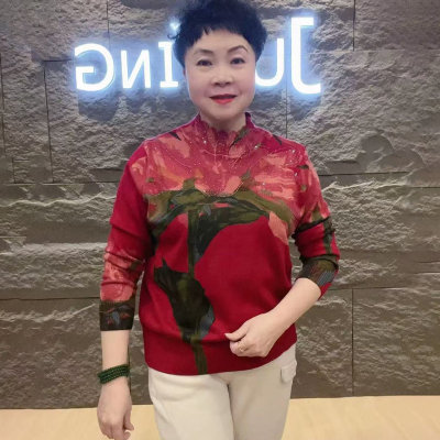 半高领花色针织衫妈妈减龄毛衣女