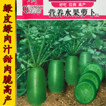 进口引进杂交营养水果萝卜种子里外青萝卜籽绿皮绿肉脆甜高砂锅孑,鲜花速递/花卉仿真/绿植园艺,家庭园艺种子,淘宝优惠券,粉丝福利购,淘宝优惠卷