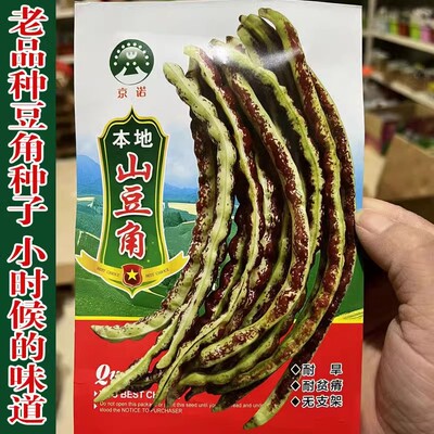 山东老品种山豆角种子花豇豆种籽
