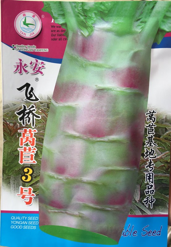 飞桥莴苣耐寒高产大田基地种子
