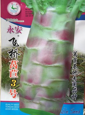 正宗永安飞桥莴苣3号 金农莴笋种籽庭院农家基地四季蔬菜莴苣种子