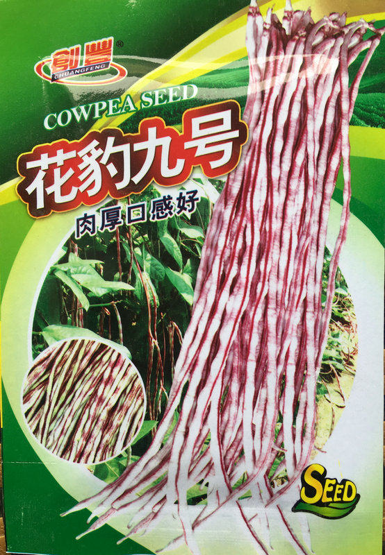 春秋播高产家庭大田种植蔬菜中早熟花豹九号豆角豇豆架豆种子30克