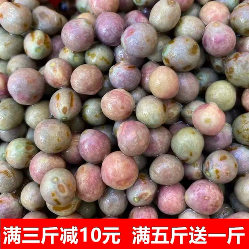 2026新鲜芡实 野生鸡头米 河南潢川鸡头籽 糯鸡头果大号 农村特产