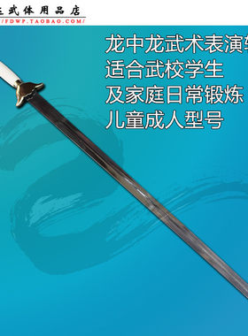 龙中龙表演剑软剑晨练比赛器械
