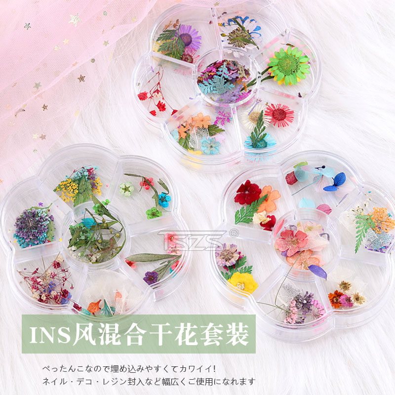 日式mayu款干花套装押花波斯菊美甲干花小清新指甲饰品装饰