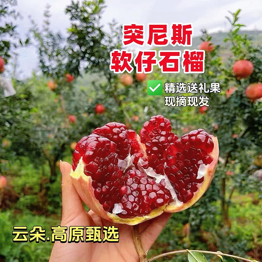 正宗突尼斯软籽石榴礼盒5斤整