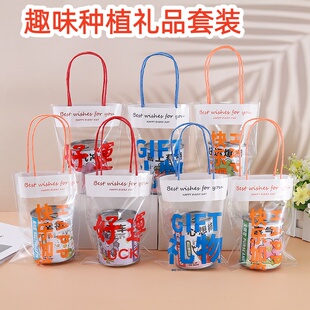 植树节班级分享礼品幼儿园奖励种植盆栽DIY奖励学历礼品开学礼物