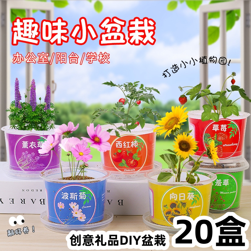 other儿童节礼物DIY玩具学生