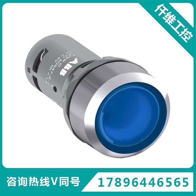 ABCP系列带灯金属圈平头