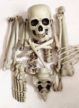 万圣节骷髅骨架酒吧密室逃脱恐怖