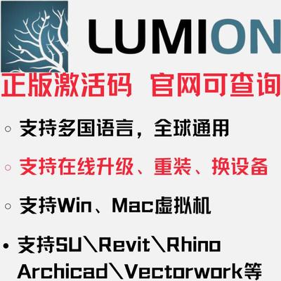 Lumion PRO正版软件 11-25 2025 2024激活码许可证 密钥 远程安装