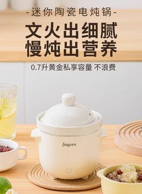 一人食迷你陶瓷电炖锅养生小型