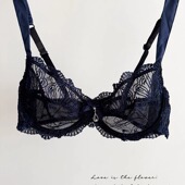 断码 清货 外贸性感蕾丝边超薄内衣半透明网纱刺绣少女胸罩文胸罩