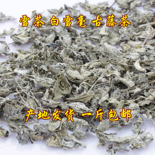 云南丽江雪茶 白雪毫茶 甘露茶 古藤茶 苍山雪 雪山古茶