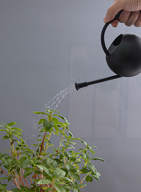 不锈钢浇水壶花洒器迷你小型黑色复古多肉植物盆栽高颜值家用喷壶