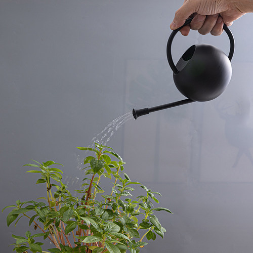 不锈钢浇水壶花洒器迷你小型喷壶